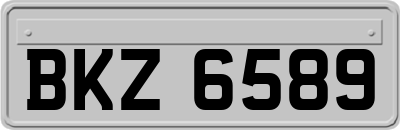 BKZ6589