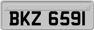 BKZ6591