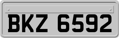 BKZ6592