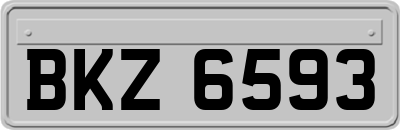 BKZ6593