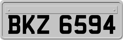 BKZ6594