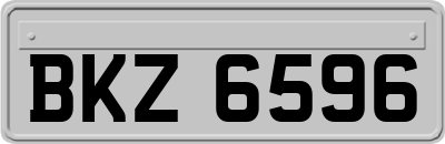 BKZ6596