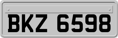 BKZ6598