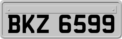 BKZ6599
