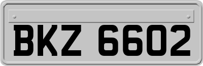 BKZ6602