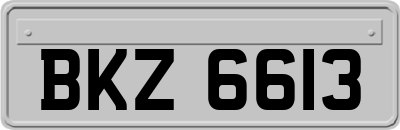 BKZ6613