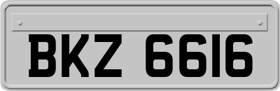 BKZ6616