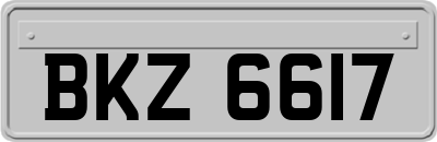 BKZ6617