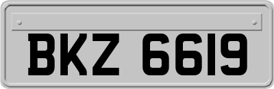 BKZ6619