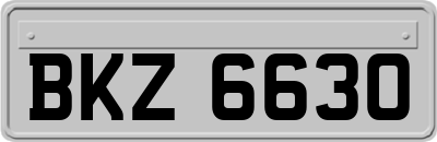 BKZ6630