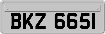BKZ6651