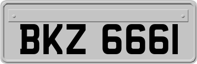 BKZ6661