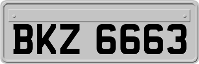 BKZ6663