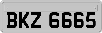 BKZ6665