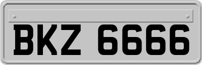 BKZ6666