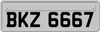 BKZ6667