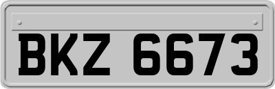 BKZ6673
