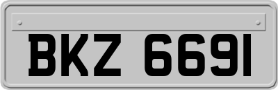 BKZ6691