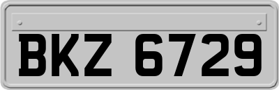 BKZ6729
