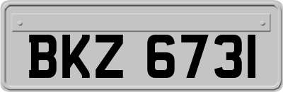 BKZ6731