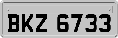 BKZ6733