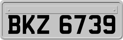 BKZ6739