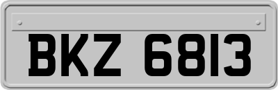 BKZ6813