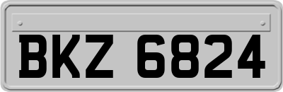 BKZ6824