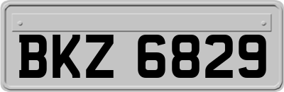 BKZ6829