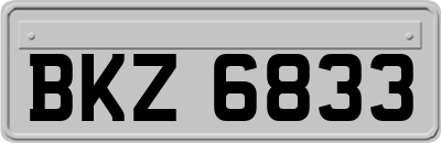 BKZ6833
