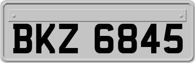 BKZ6845