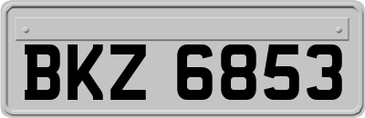 BKZ6853