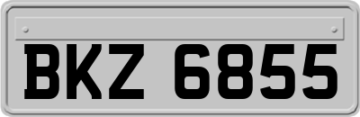 BKZ6855