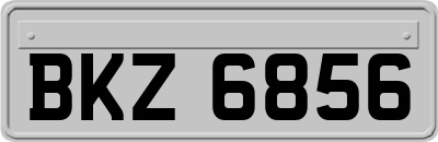 BKZ6856
