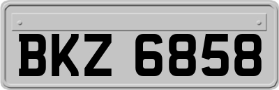 BKZ6858