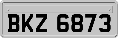 BKZ6873