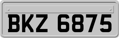 BKZ6875
