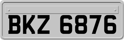 BKZ6876