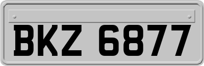 BKZ6877