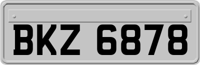 BKZ6878