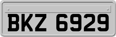 BKZ6929