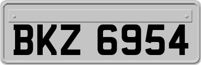 BKZ6954