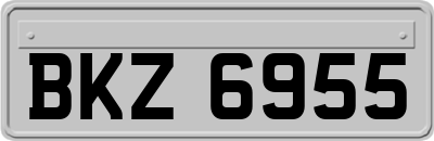 BKZ6955