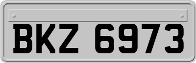 BKZ6973