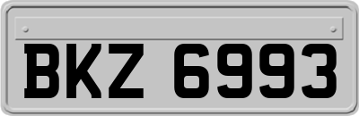BKZ6993