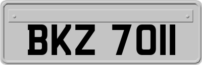 BKZ7011