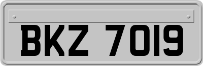 BKZ7019