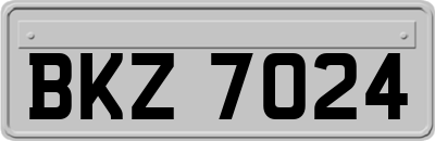 BKZ7024