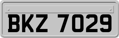 BKZ7029
