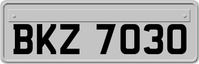 BKZ7030
